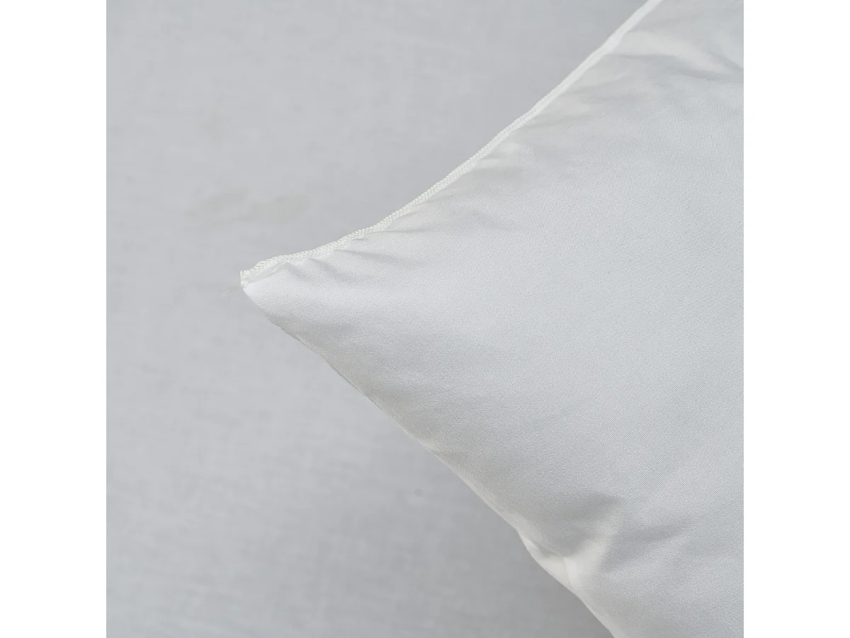 Lot de 2 oreillers Anti-transpiration 60x60cm