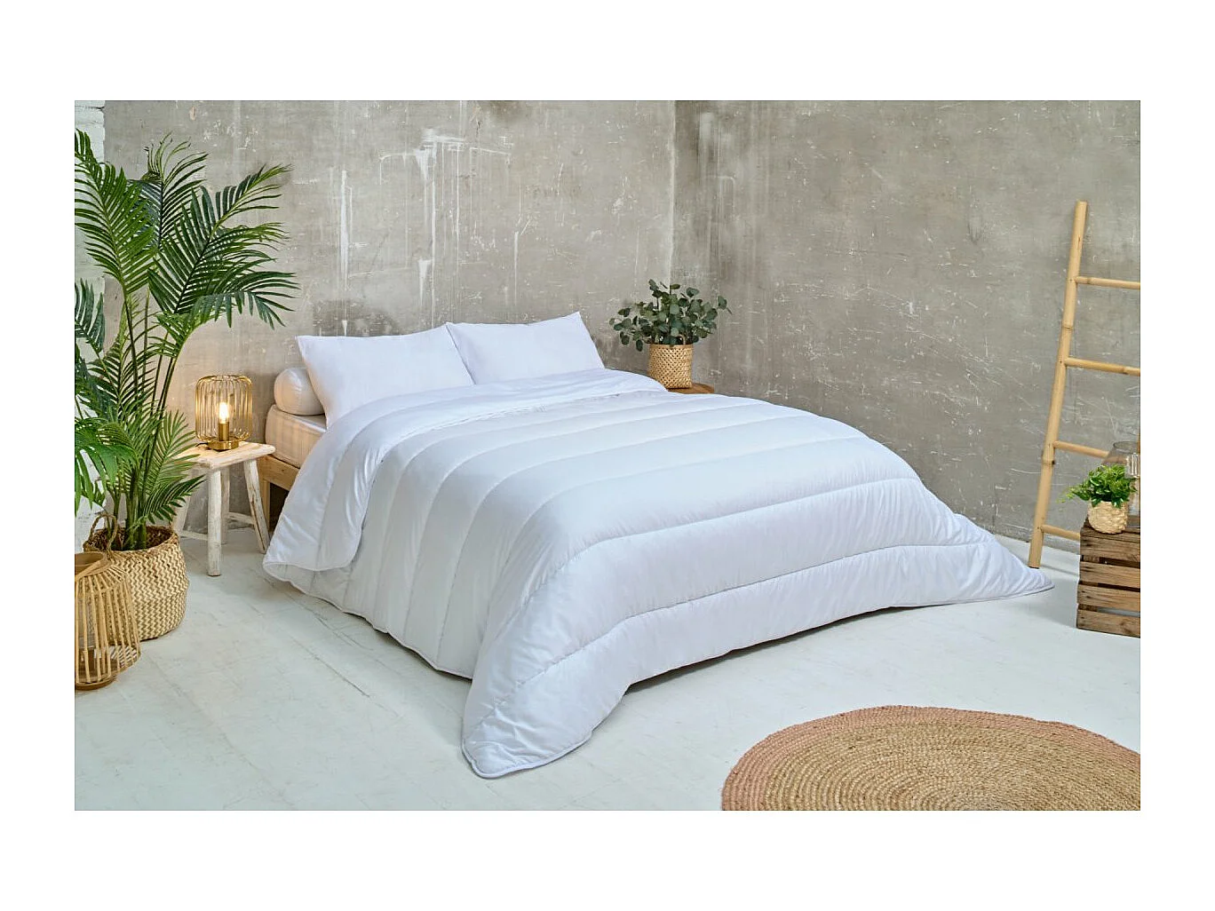 Lot de 2 oreillers moelleux Anti-acariens 60x60cm