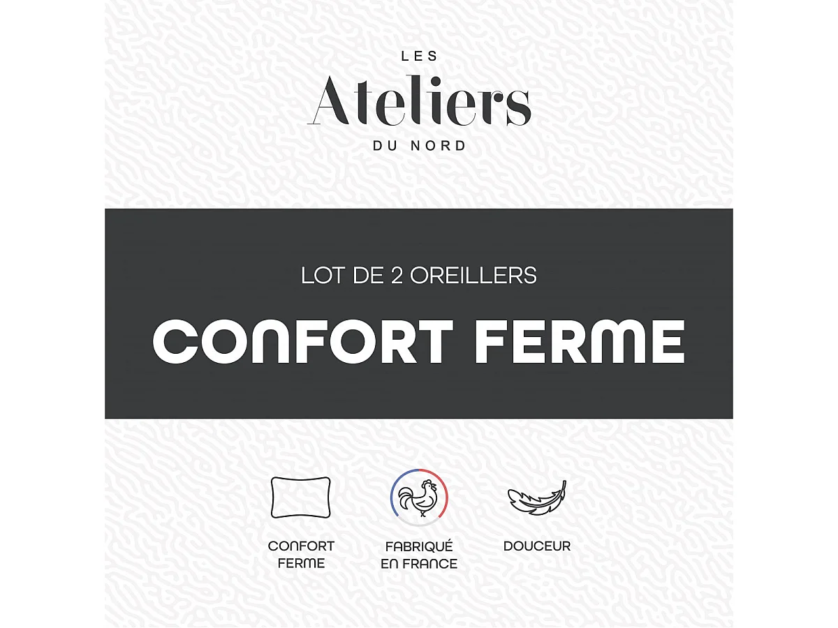 Lot de 2 Oreillers Ferme 60x60cm