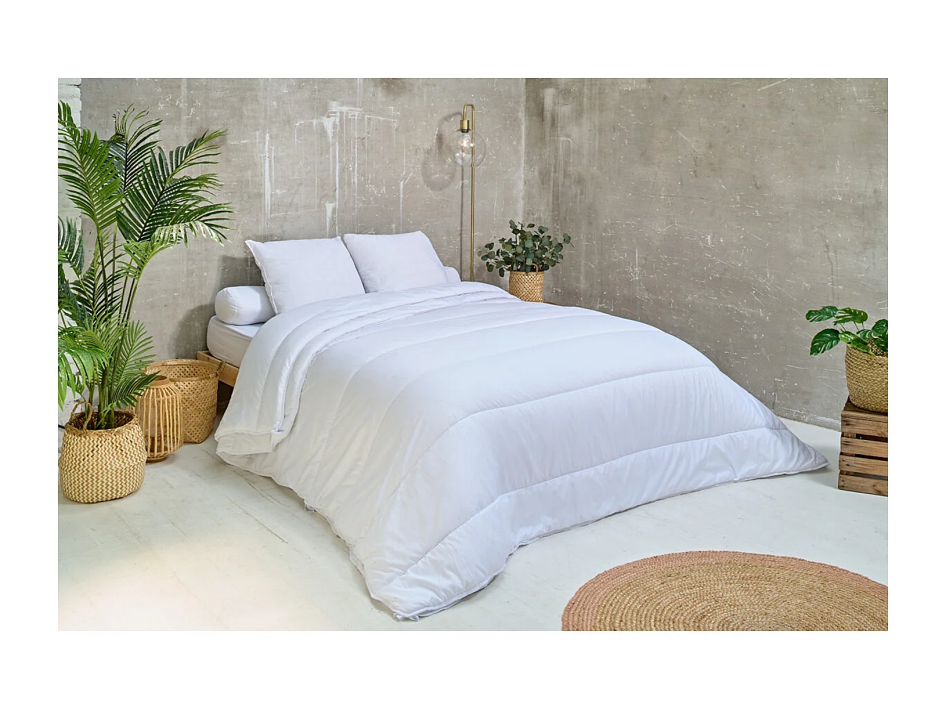 Lot de 2 Oreillers Ferme 60x60cm