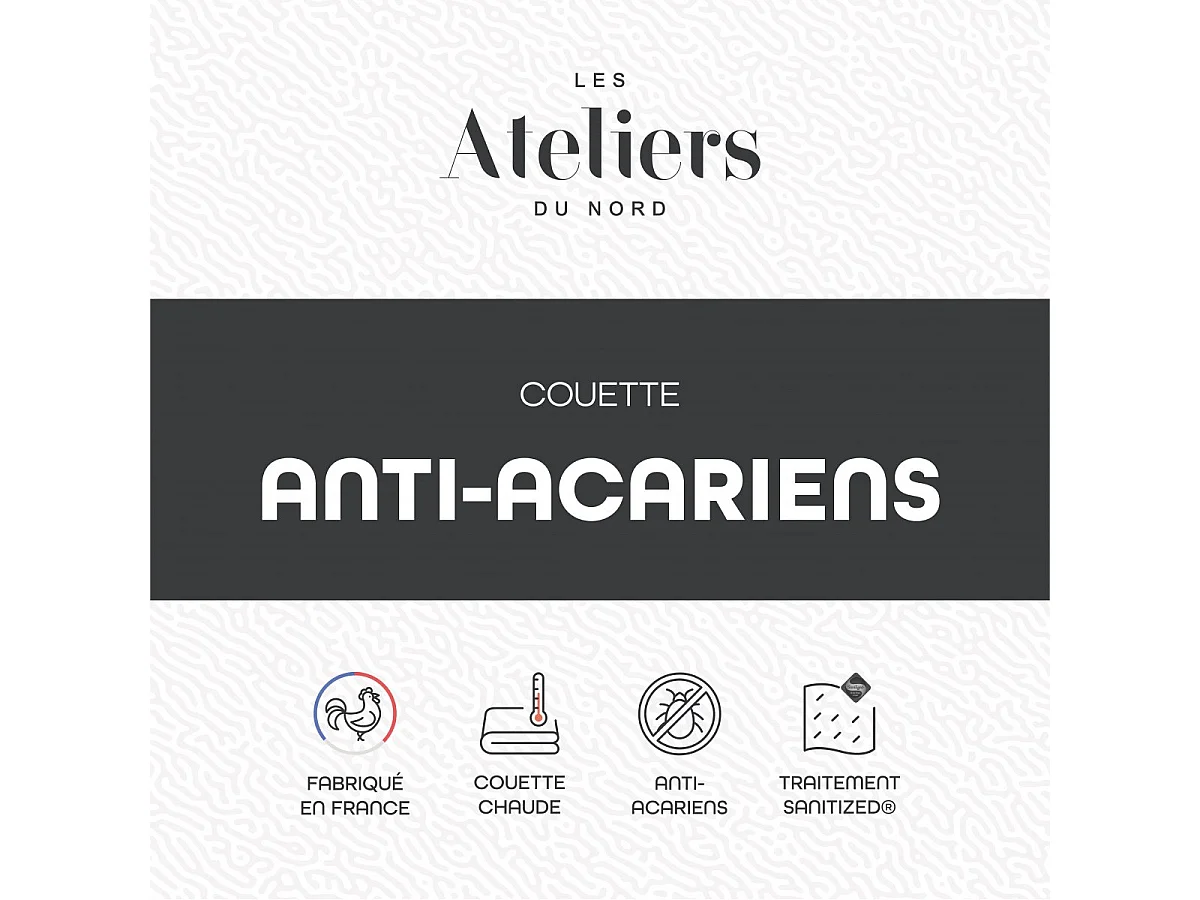 Couette Chaude Anti-acariens 240x260cm