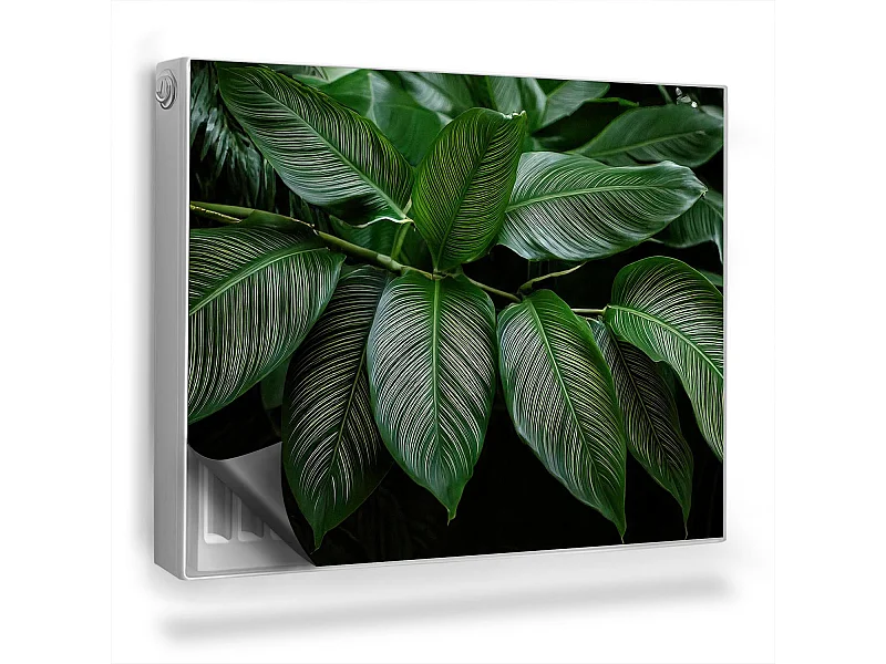 Magnetische Matte für Heizkörper - Tropischer Zweig - 80x60 cm