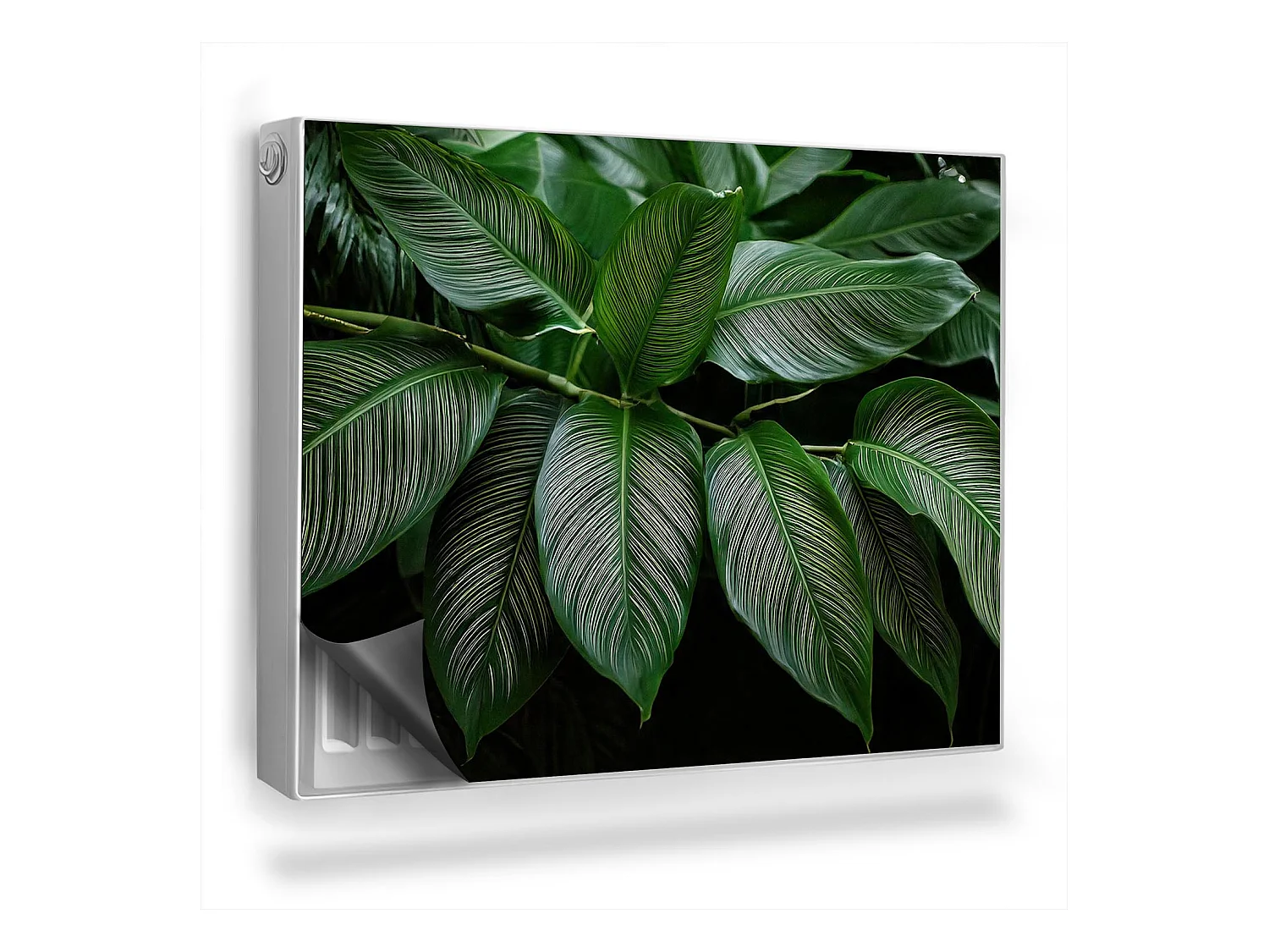 Tapis magnétique pour radiateur - Branche tropicale - 80x60 cm