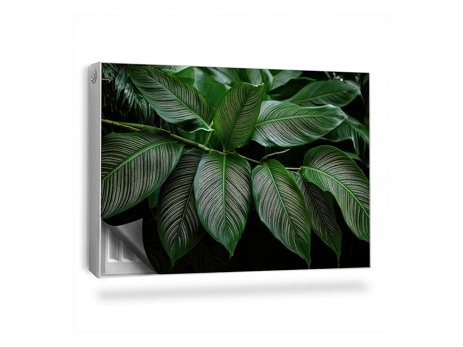Magnetische mat voor radiator - Tropische tak - 90x60 cm