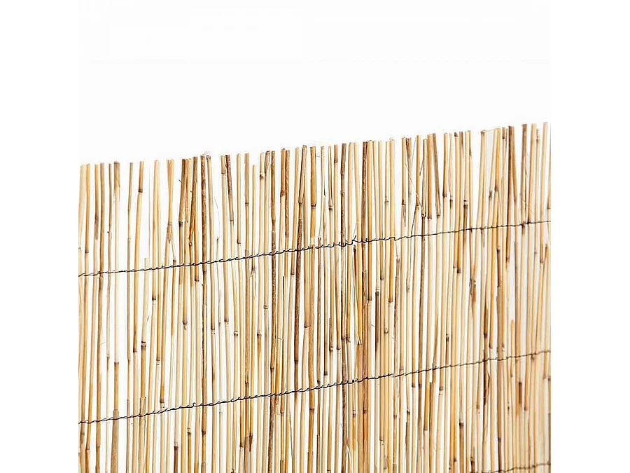 Paillon de roseaux entiers REEDCANE - 1 x 5 m