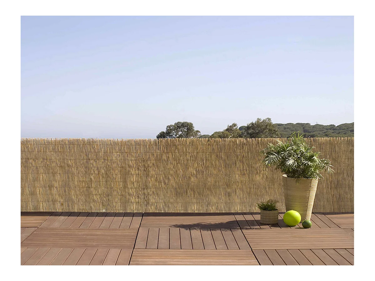 REEDCANE Ganzer Schilfhalm - 1 x 5 m