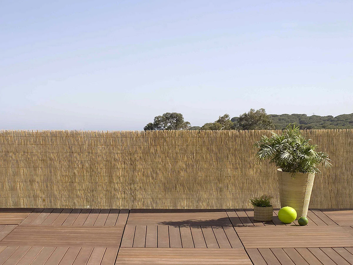 Paillon de roseaux entiers REEDCANE - 1 x 5 m