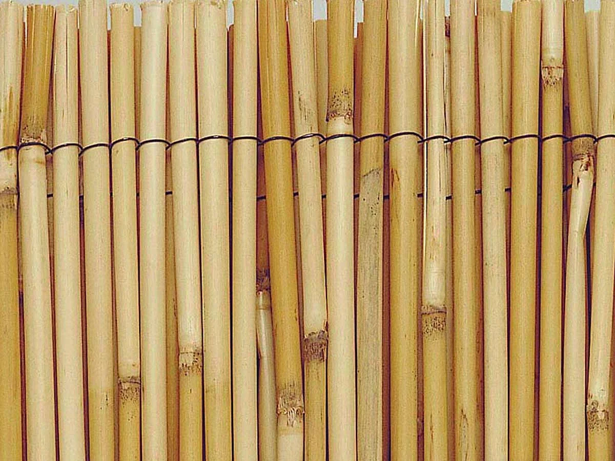 REEDCANE mantillo de juncos enteros - 1 x 5 m