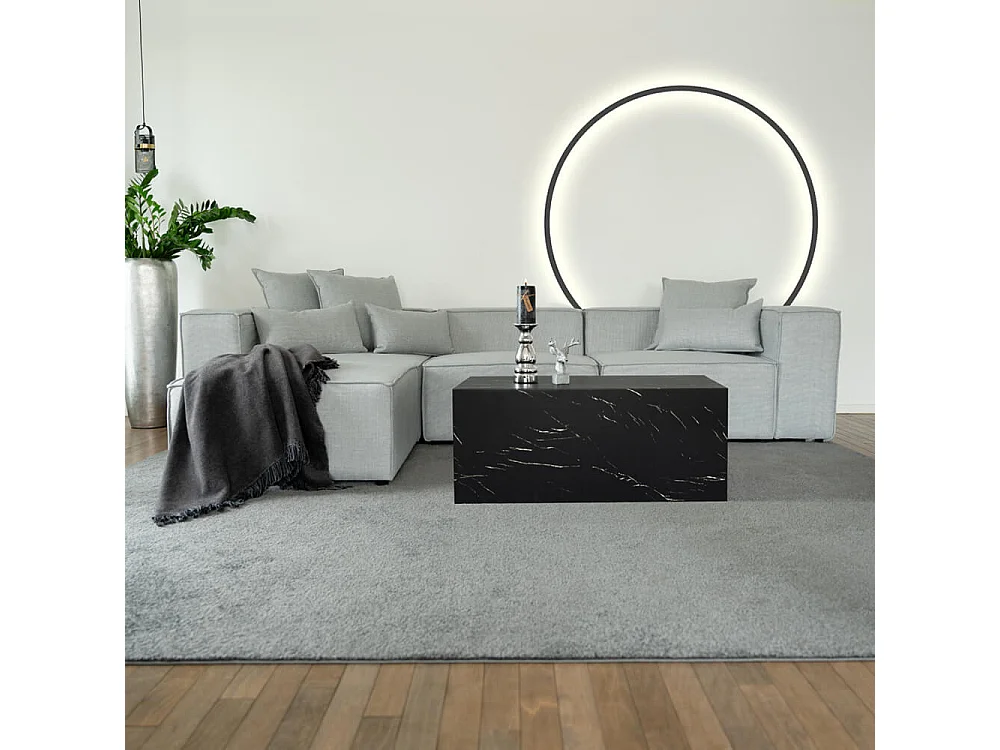 Home Deluxe Canapé VERONA gris clair L