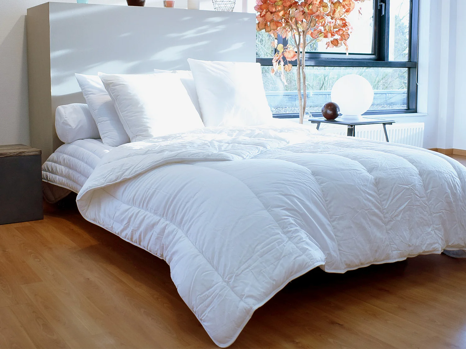 Juego de 2 almohadas tratamiento anti-ácaros natural Greencare - 60 x 60 cm - 550 gr - Blanco - algodón - AZYLIA