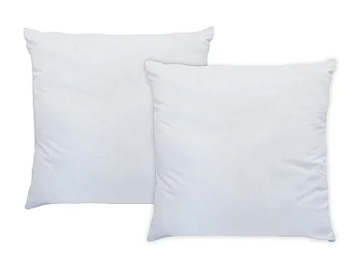Set van 2 hoofdkussens met antitranspiratiebehandeling Topcool - 60 x 60 cm - 550 g - Wit - HAELIA