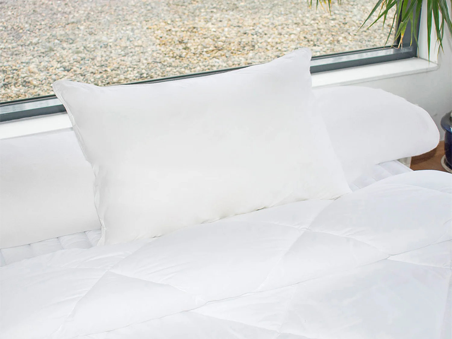 Oreiller mémoire de forme mémofill 50 x 70 cm - Percale de coton - 91 fils/cm² - 750 gr - Blanc - AUXENCE