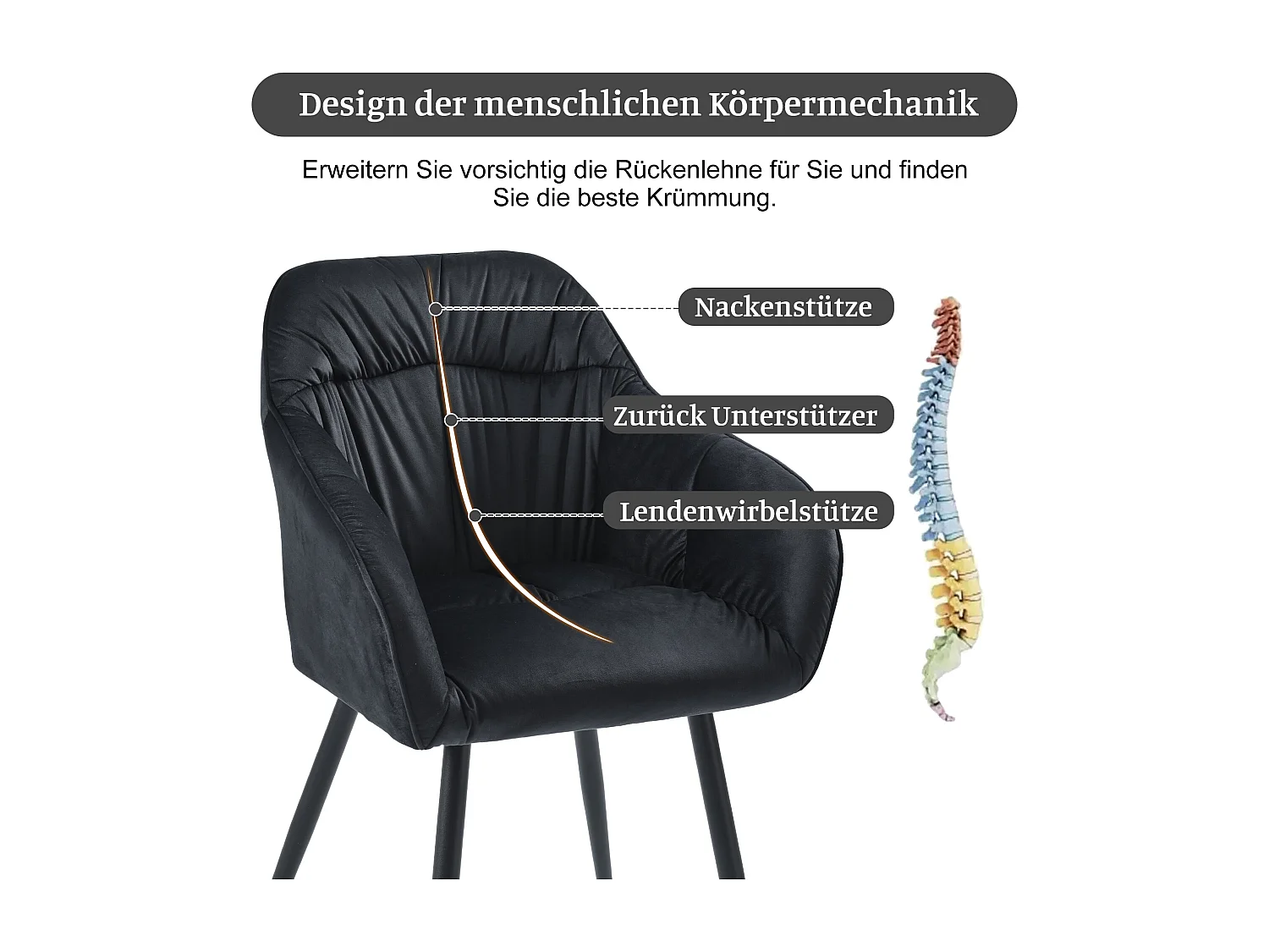 Cadeiras de jantar (4), poltrona de veludo com pernas de metal, preta