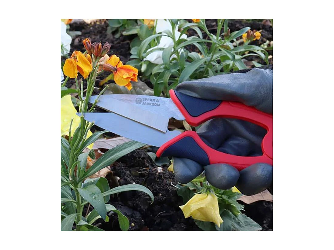 Mini cisaille topiaire