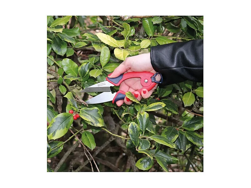 Mini cisaille topiaire