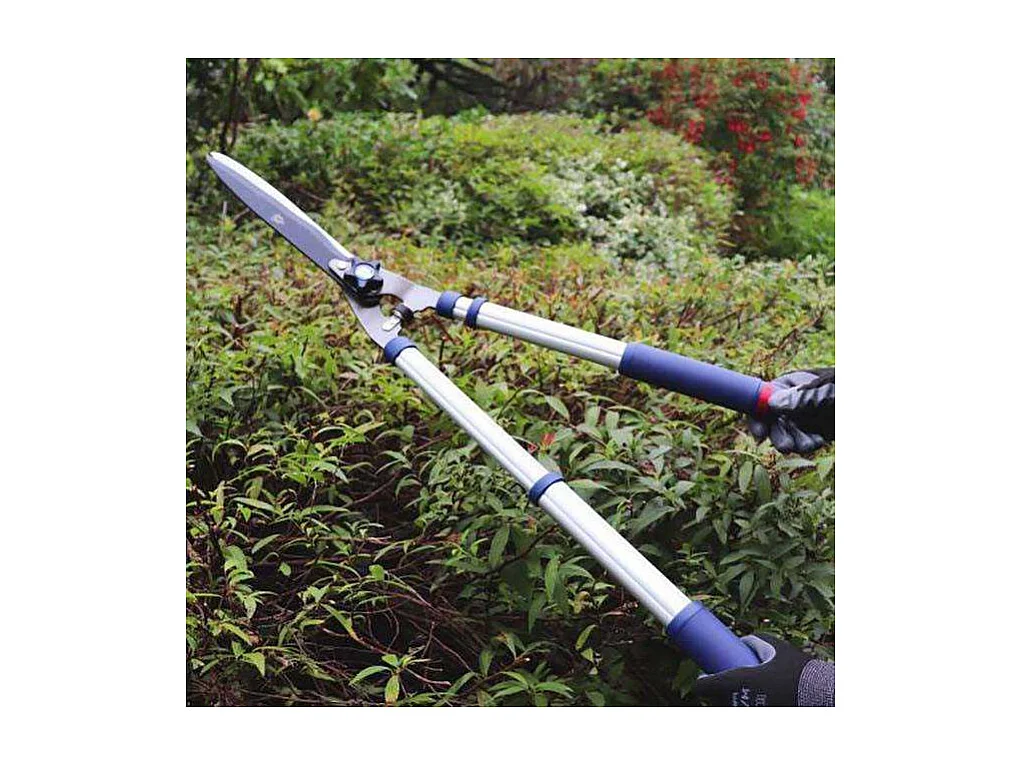 Set ébrancheur - cisaille et sécateur