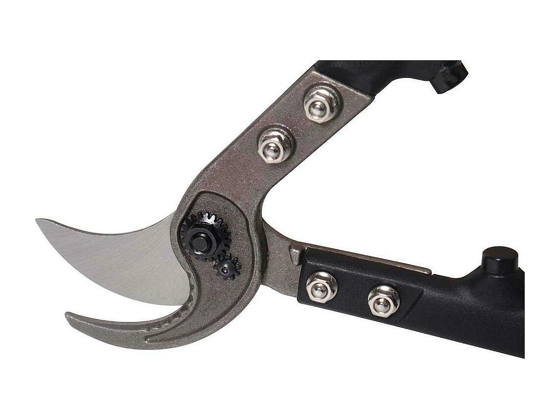 Set ébrancheur - cisaille et sécateur