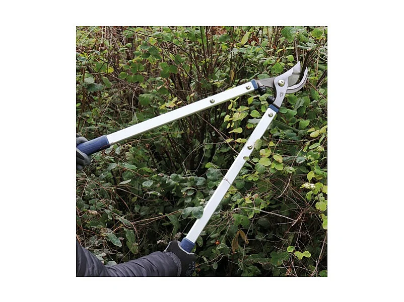 Ébrancheur professionnel 70 cm