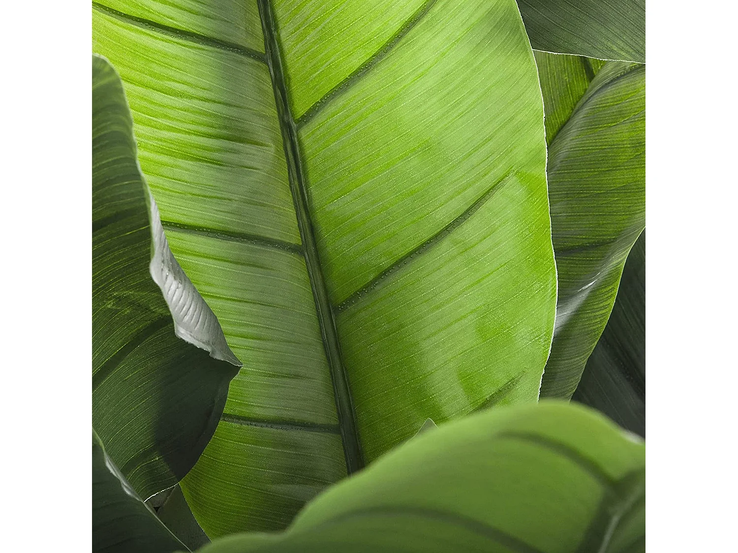 WELL HOME – Bananier artificiel, élégance naturelle sans entretien, élégance vivace sans effort