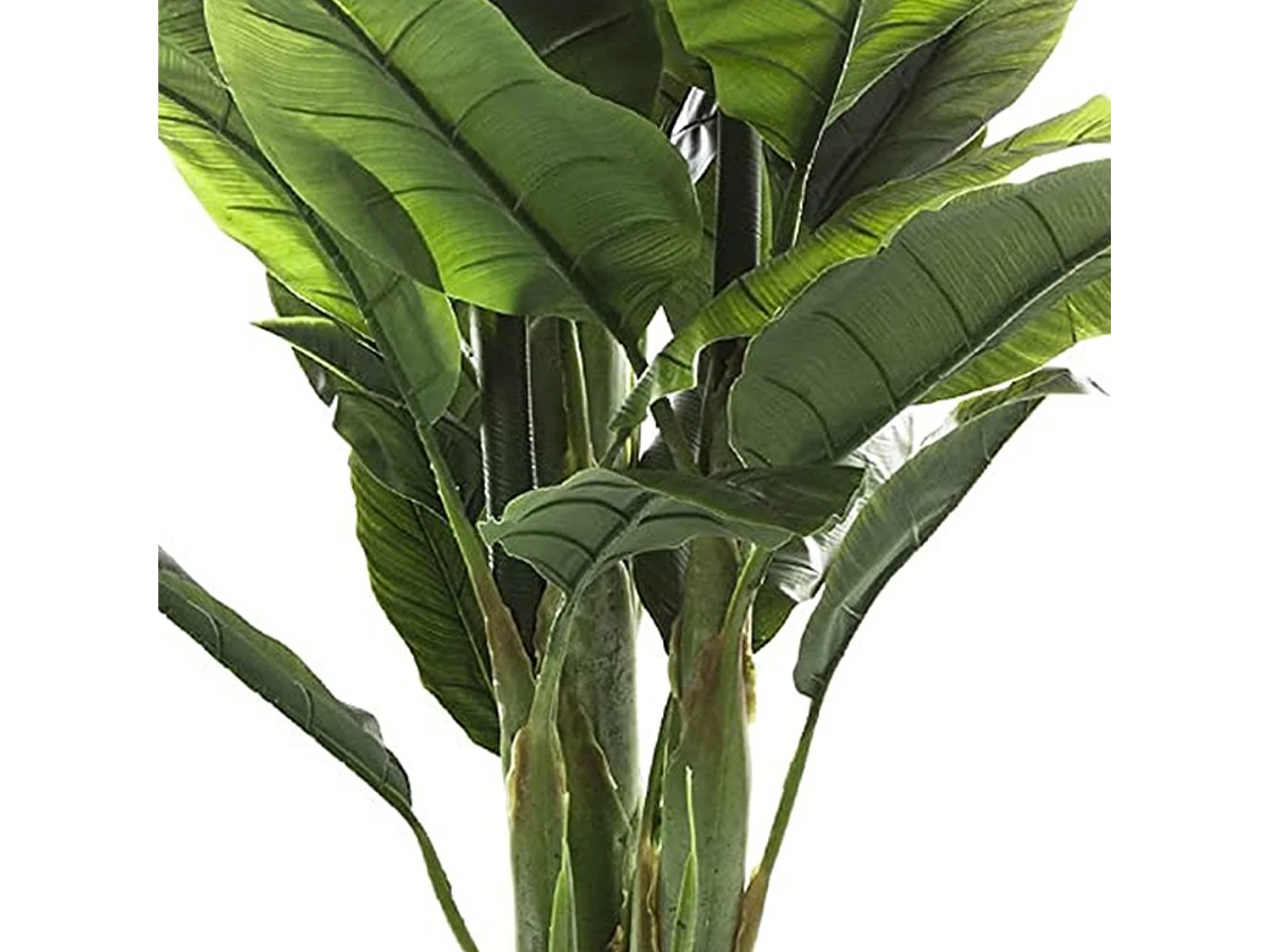 WELL HOME – Bananier artificiel, élégance naturelle sans entretien, élégance vivace sans effort