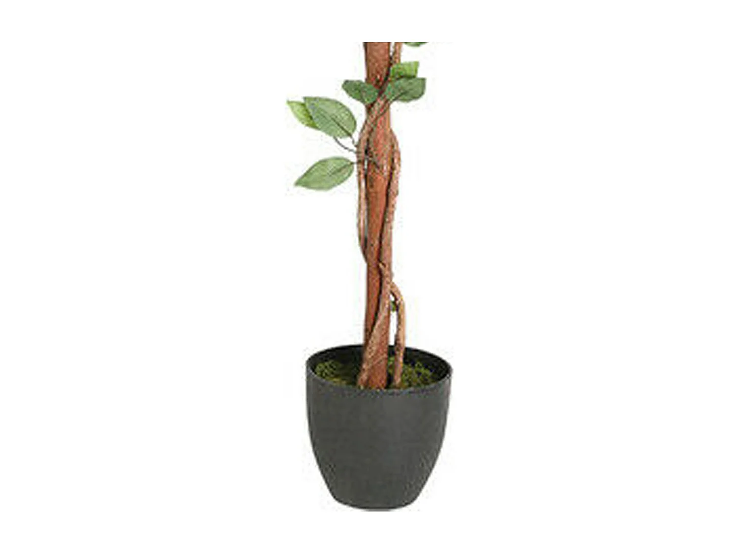 WELL HOME - Ficus artificiel en pot