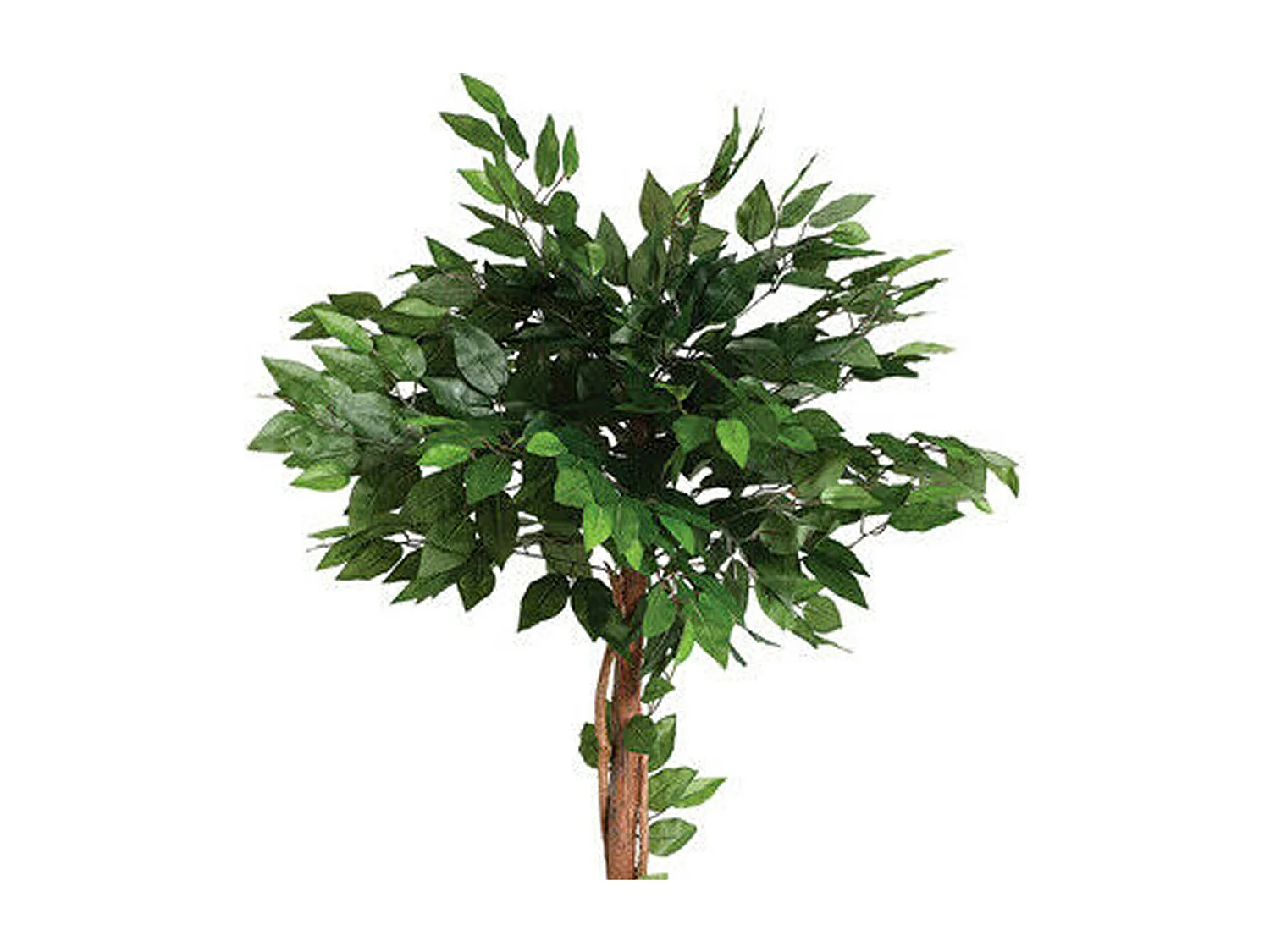 WELL HOME - Ficus artificiel en pot