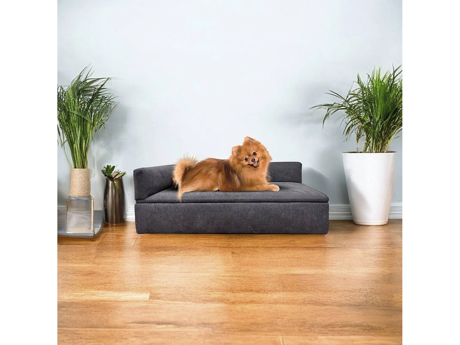 Canapé-lit Well Home avec canapé pour animaux de compagnie avec tissu spécial et base rembourrée Couleur Gris