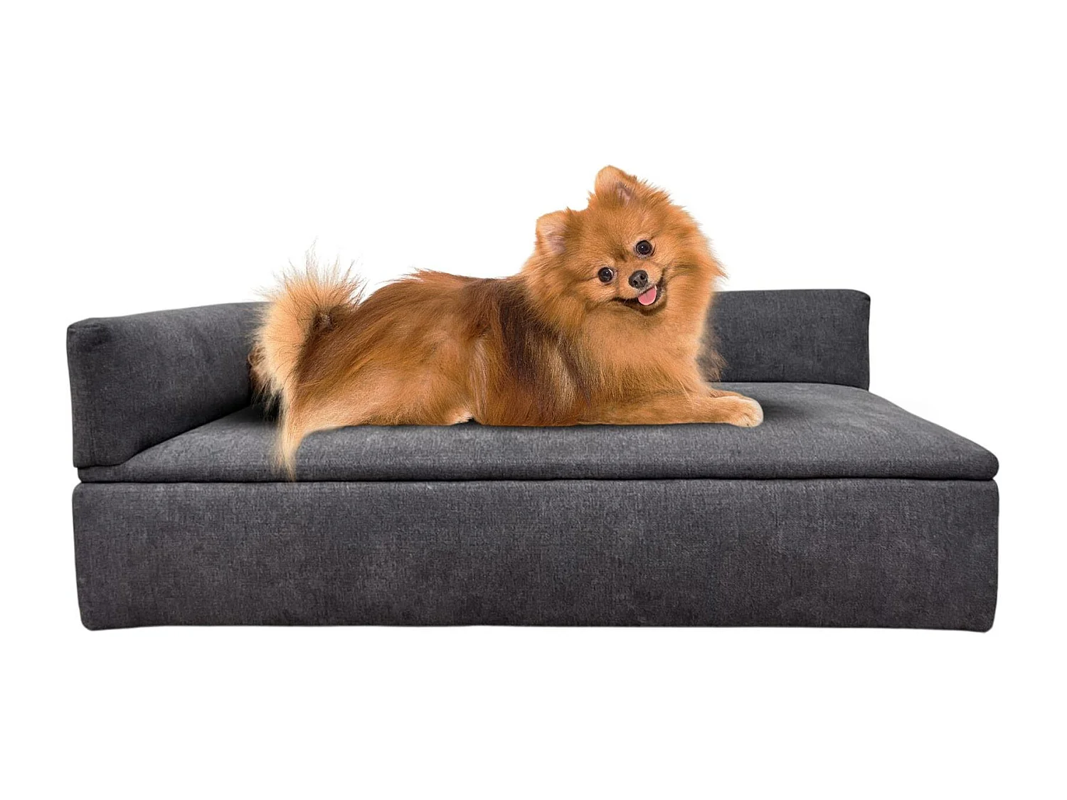 Canapé-lit Well Home avec canapé pour animaux de compagnie avec tissu spécial et base rembourrée Couleur Gris