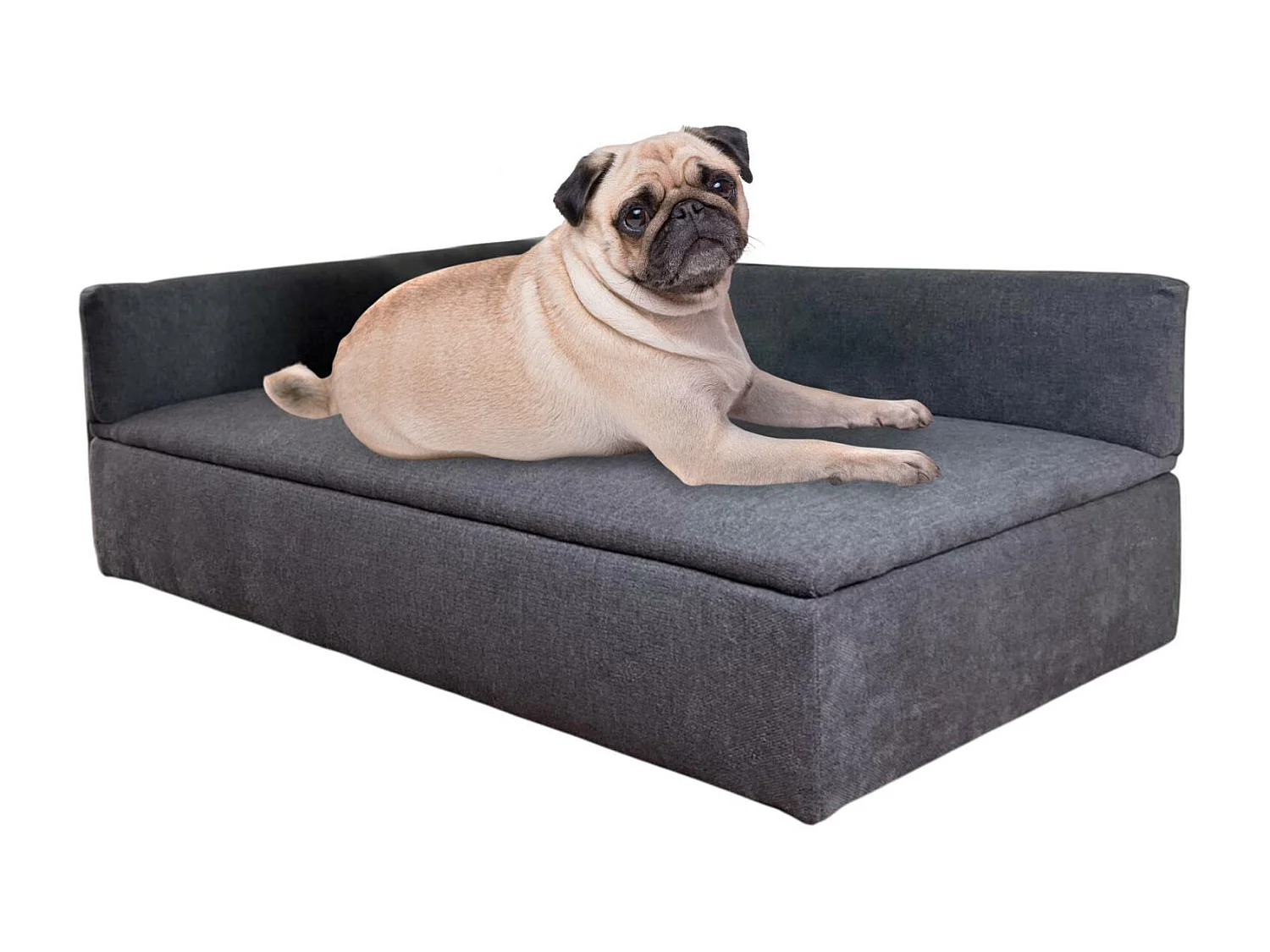 Canapé-lit Well Home avec canapé pour animaux de compagnie avec tissu spécial et base rembourrée Couleur Gris