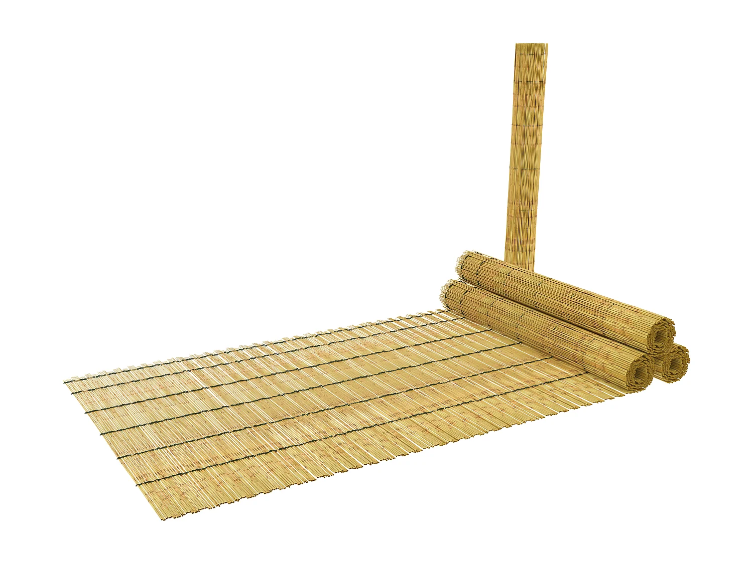 Arella In Canna Cannette In Bamboo Pelato Bambù Naturale Da 5 mm Arelle Canniccio Decorativo Recinzione Stuoia Ombreggiante Frangivista 1.5 x 5 M