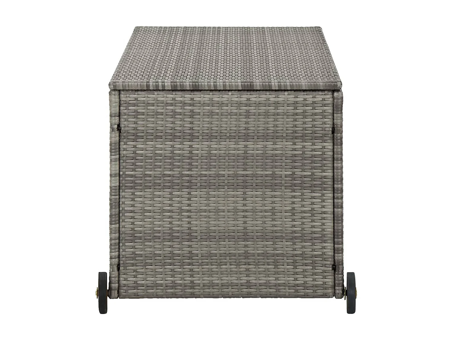 Coffre boîte meuble de grise 120 x 65 x 61 cm 02_0013089