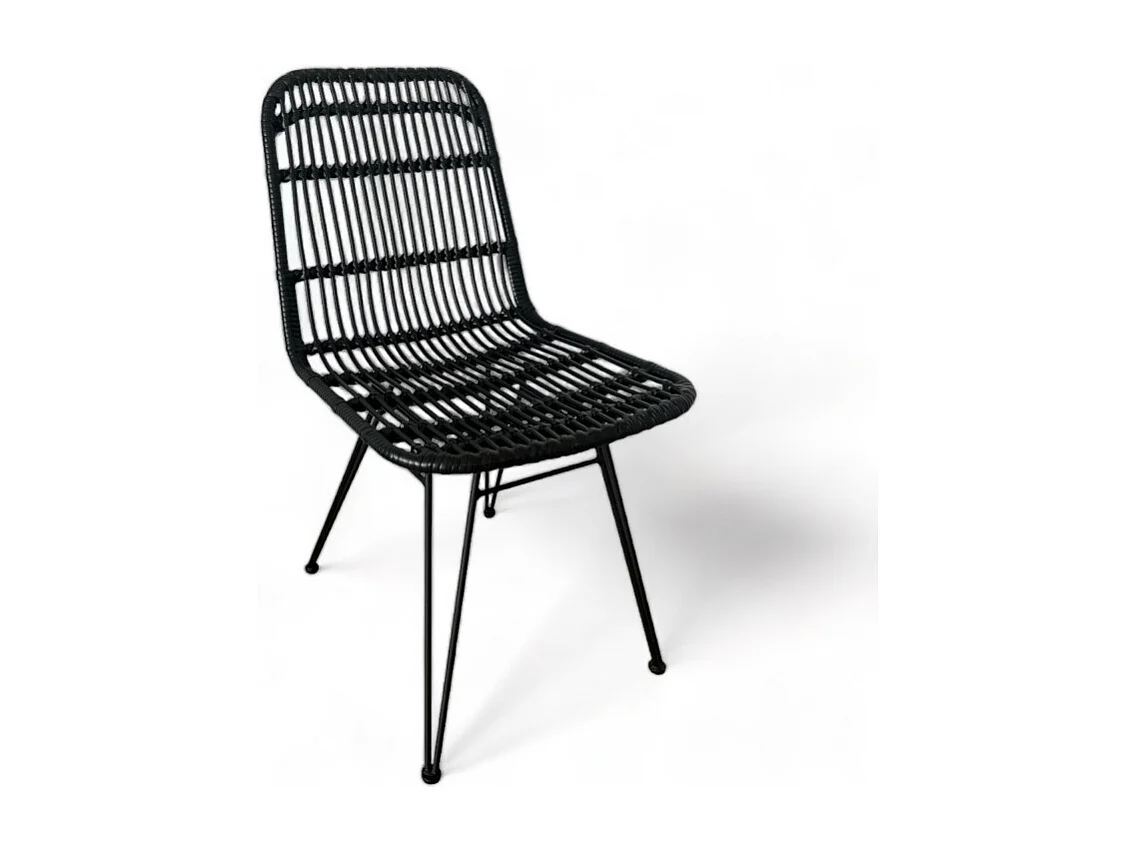 Lot de 2 chaises noires style nature aspect rotin en résine tressée et pieds en métal