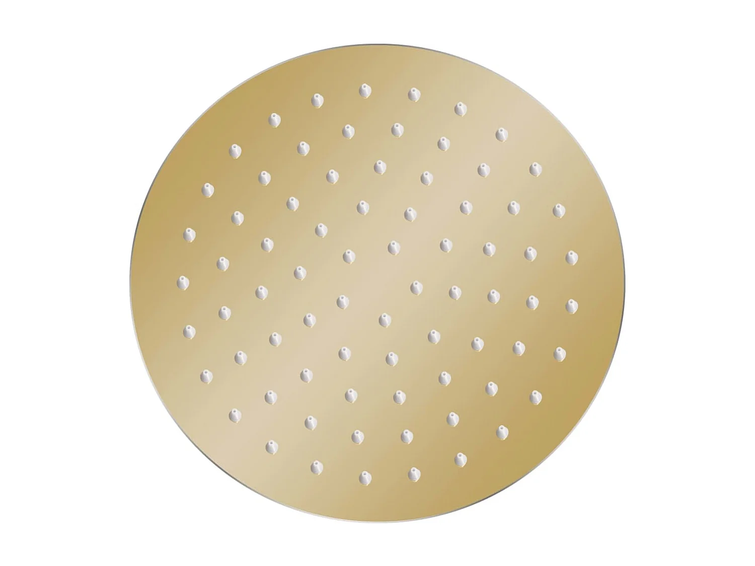 Alcachofa de ducha tipo lluvia Rociador Alcachofa de ducha Alcachofa de ducha de mano Accesorio de baño Acero inoxidable 20 cm Redondo Dorado 02_0002085