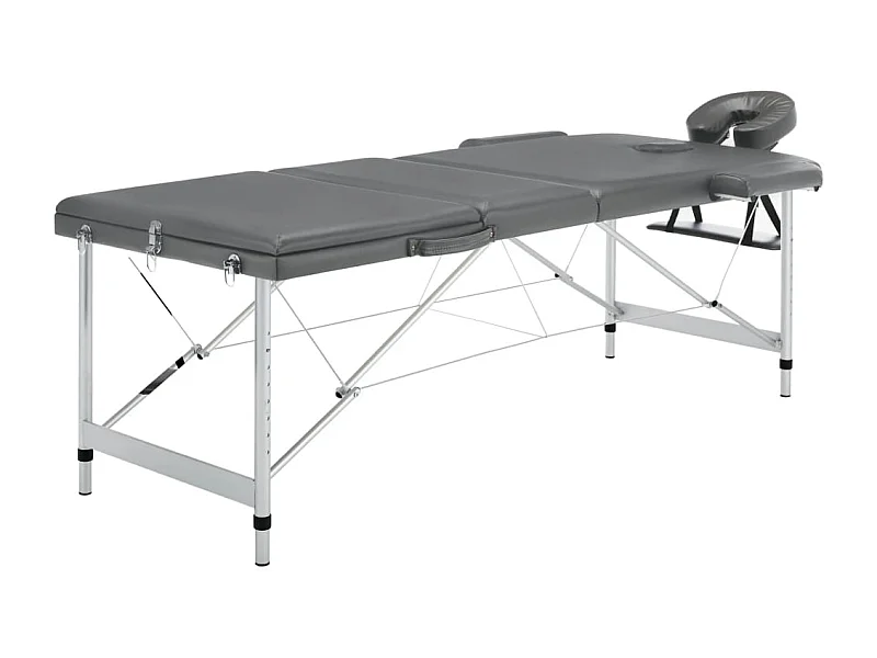Table de massage avec aluminium 186 x 68 x 59 cm 02_0001798