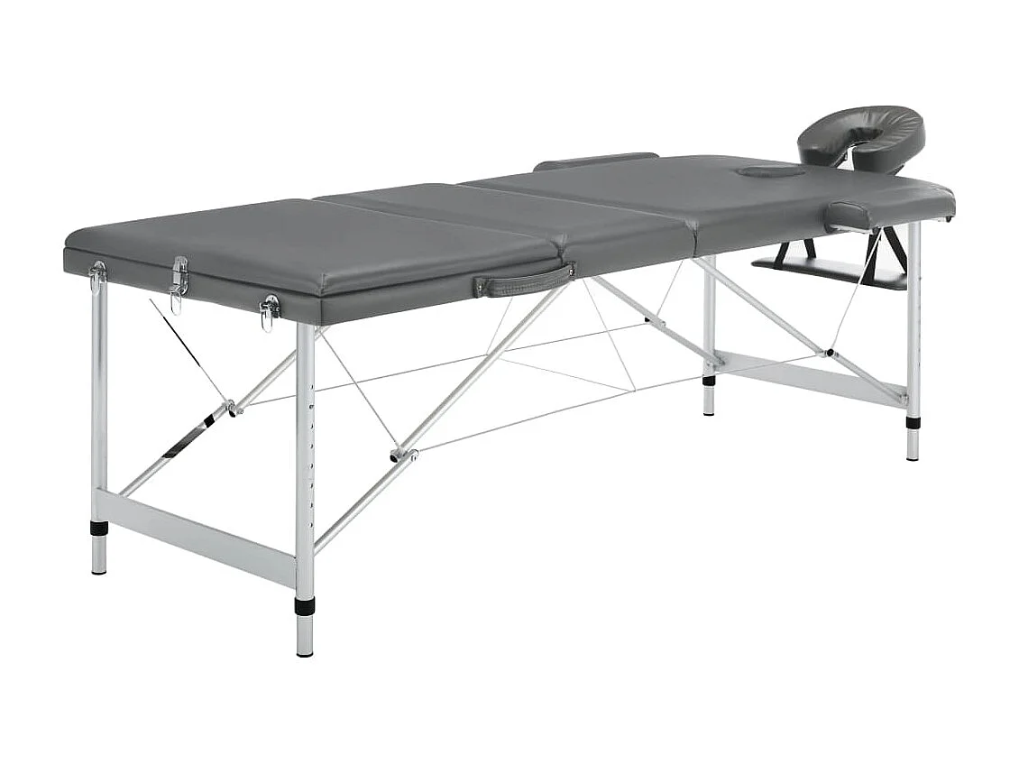 Table de massage avec aluminium 186 x 68 x 59 cm 02_0001798