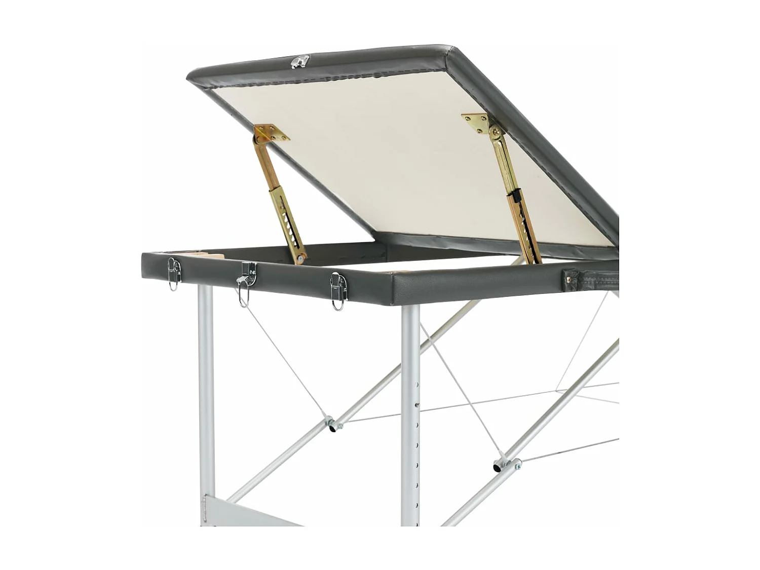 Table de massage avec aluminium 186 x 68 x 59 cm 02_0001798