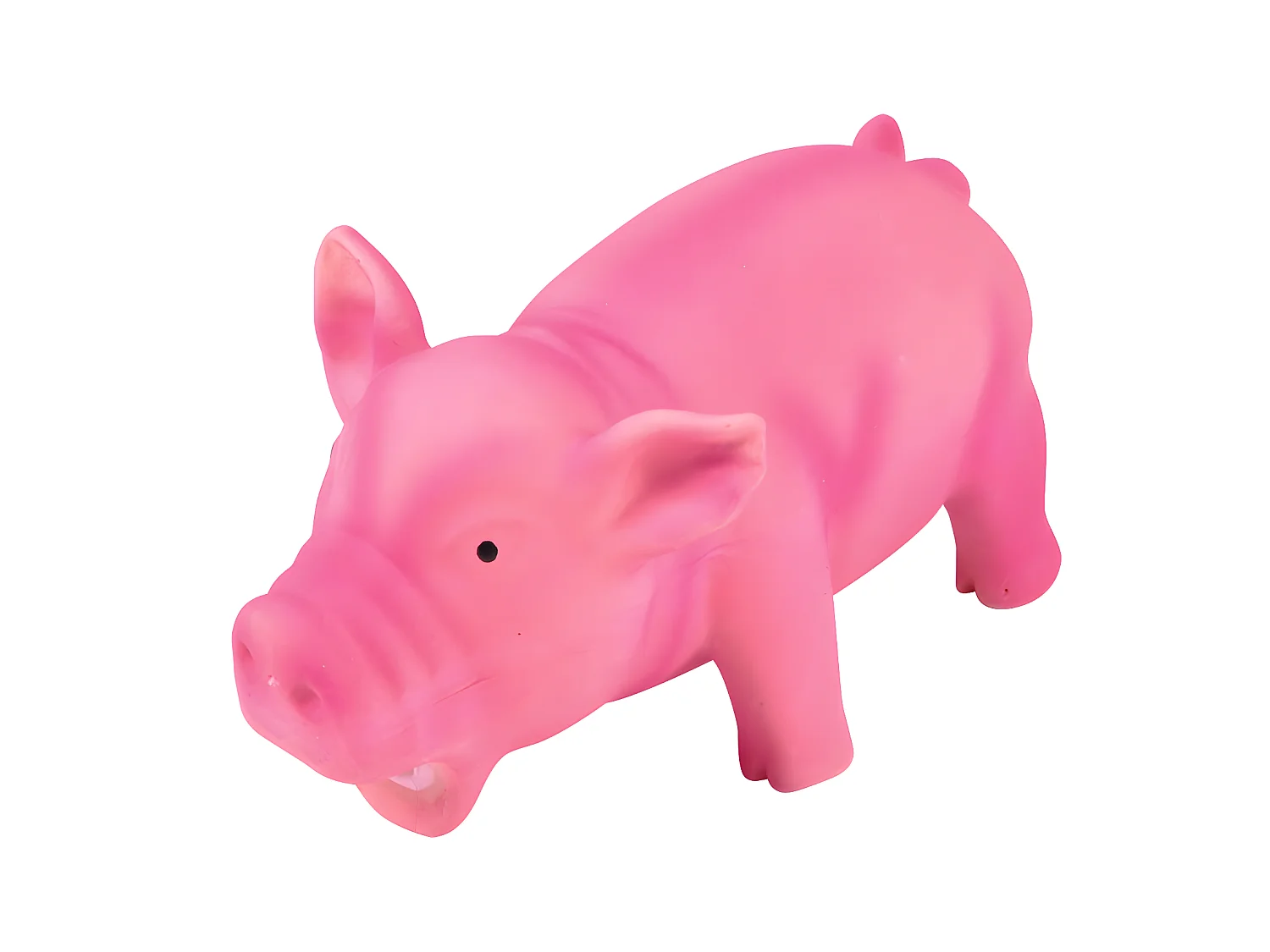 Jouet Cochon pour chien