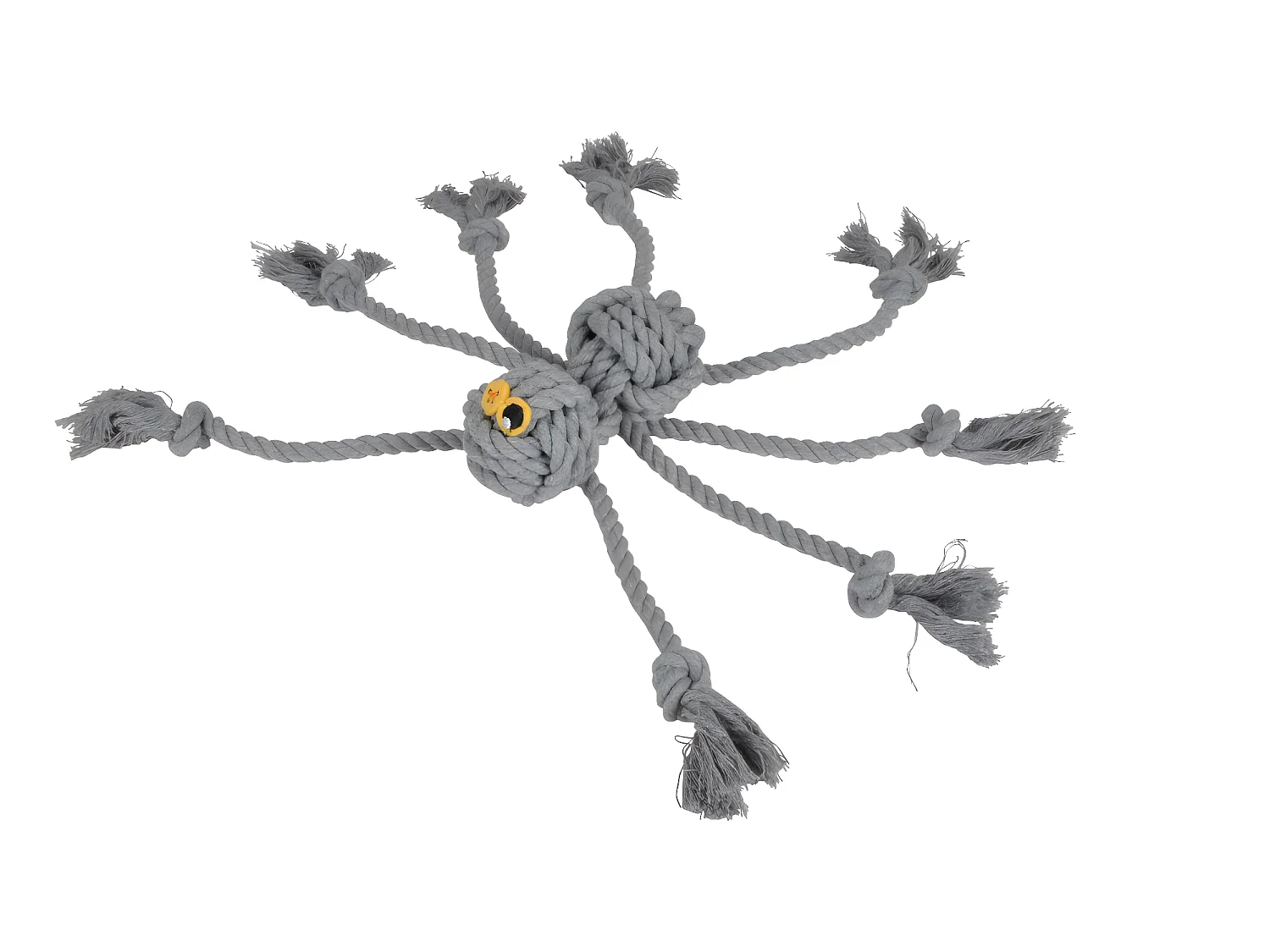 Jouet peluche araignee pour chien