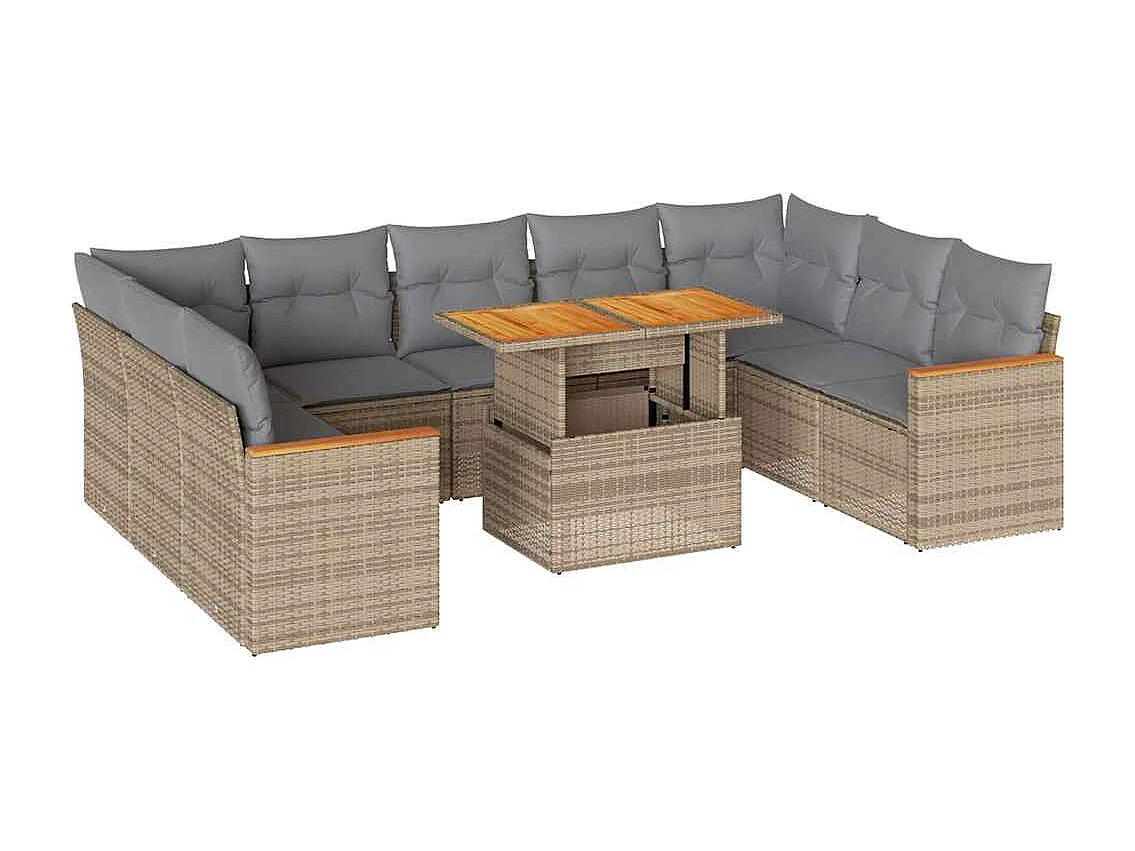 Salon de jardin avec coussins 10pcs beige résine tressée acacia