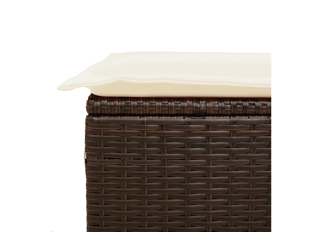 Salon de jardin 10 pcs avec coussins marron résine tressée