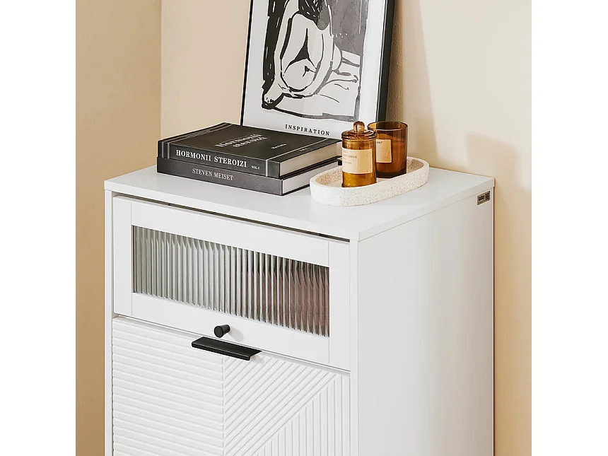 SoBuy Meuble à Chaussures avec 2 Abattants et Porte en Verre, Blanc pour Entrée/Couloir/Salon FSB95-W