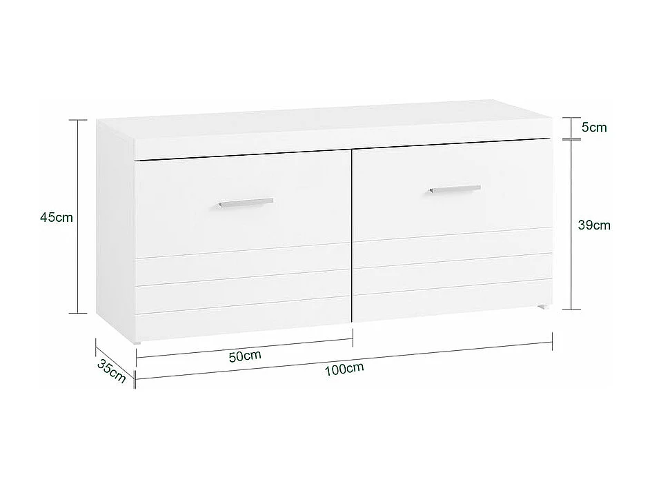 SoBuy Banc à Chaussures avec 2 Portes, Banc de Rangement, Meuble d'Entrée L100xP35xH45 cm, Blanc FSR178-W