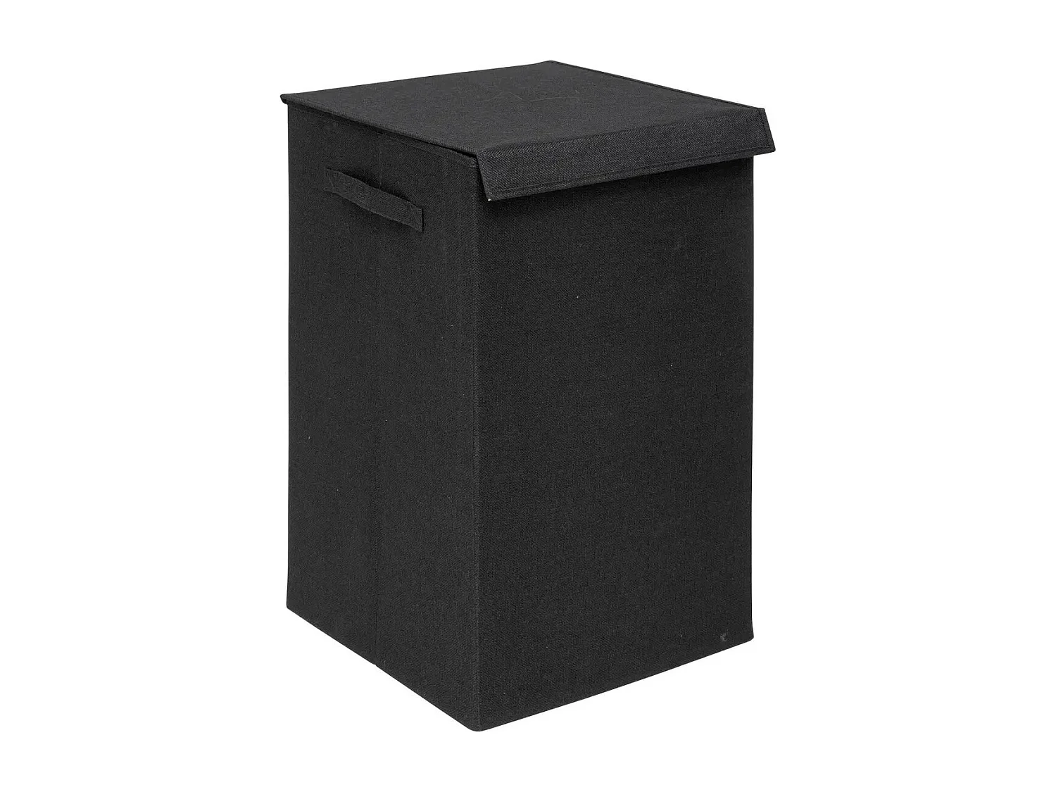 Panier à Linge Avec Séparateur "Colors" 74L Noir Khol