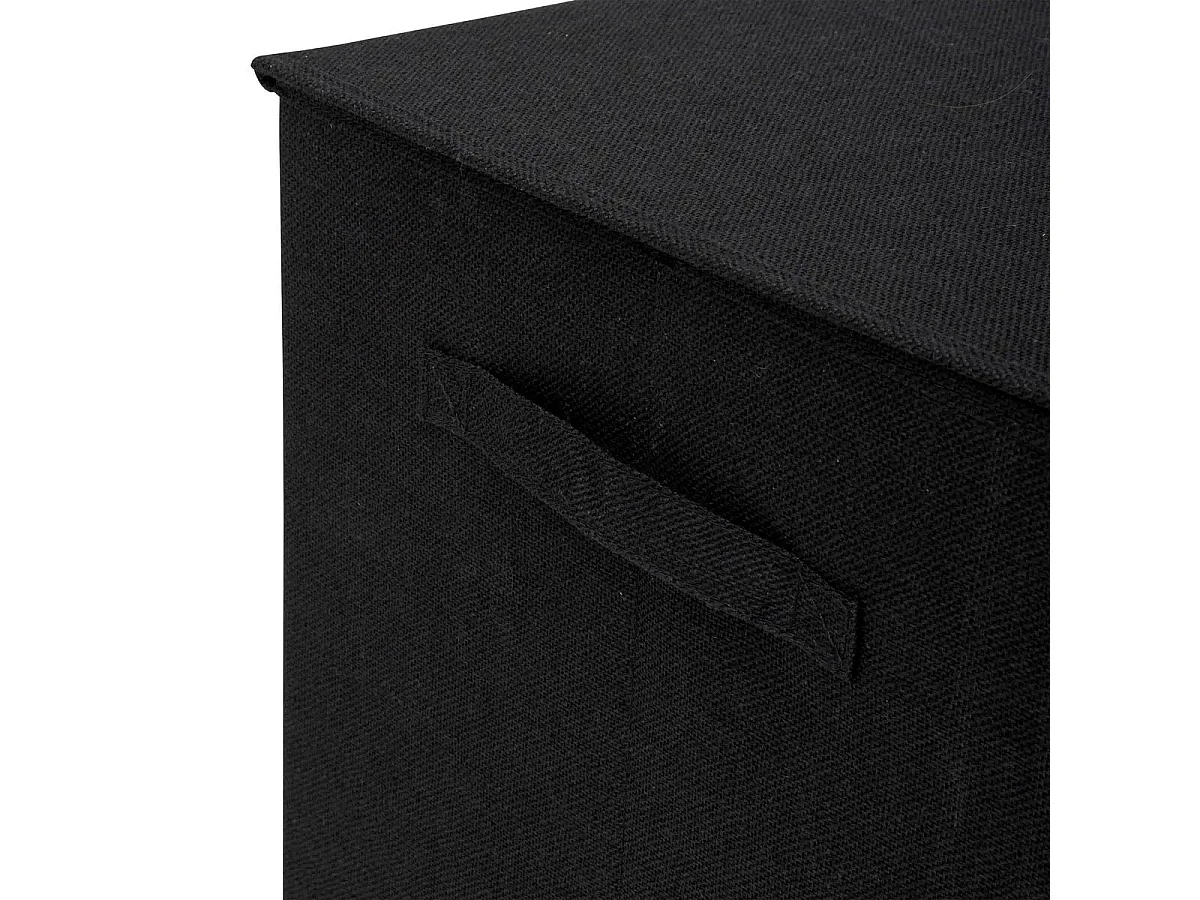 Panier à Linge Avec Séparateur "Colors" 74L Noir Khol