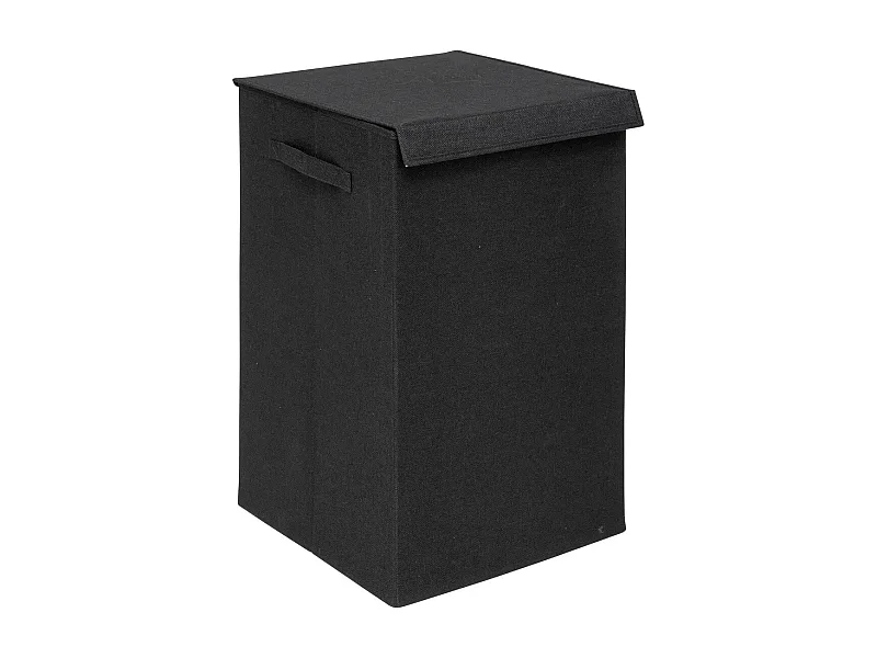 Panier à Linge Avec Séparateur "Colors" 74L Noir Khol