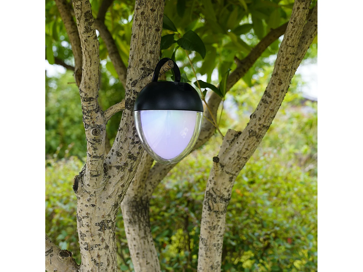 Lampe de table sans fil OVIE Blanc Aluminium H12cm