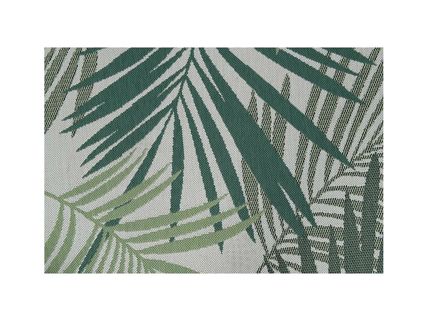 Garden Impressions tapis d'extérieur Naturalis Palm Leaf 200x290 cm