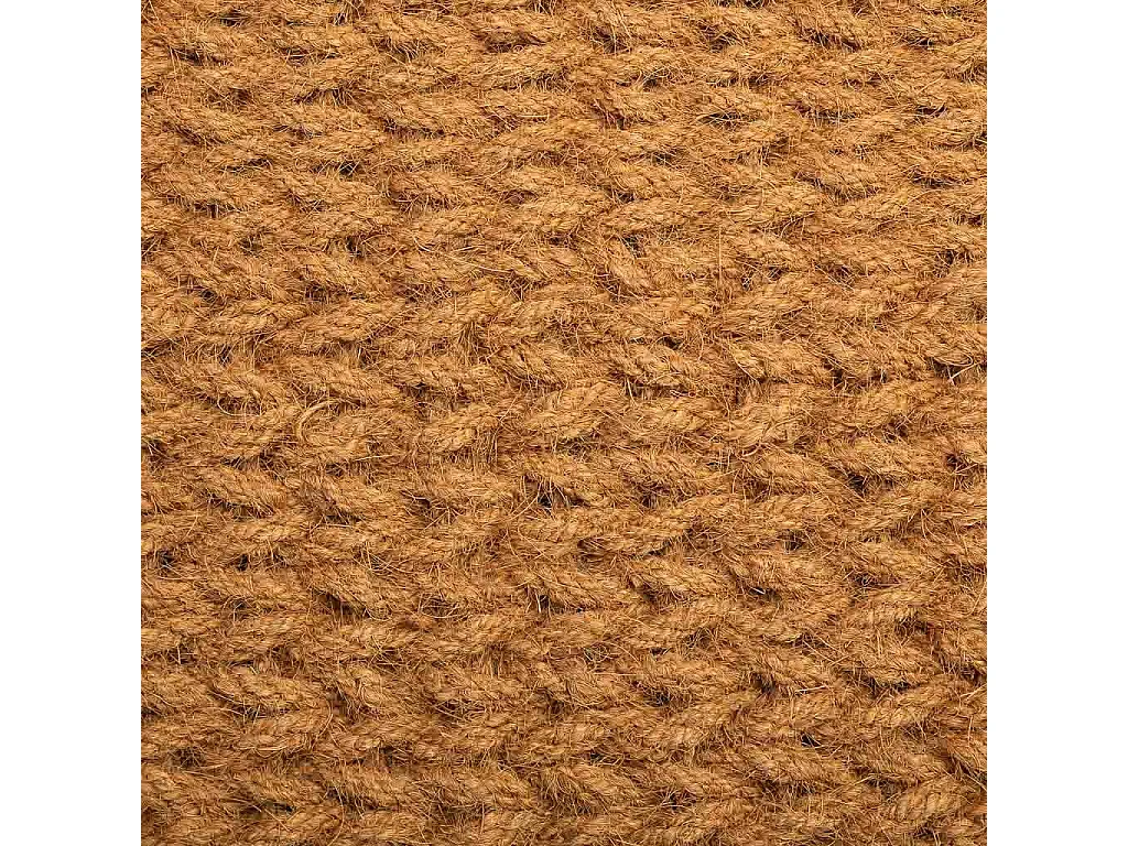 Felpudo de cuerda de coco marron 120x60x3