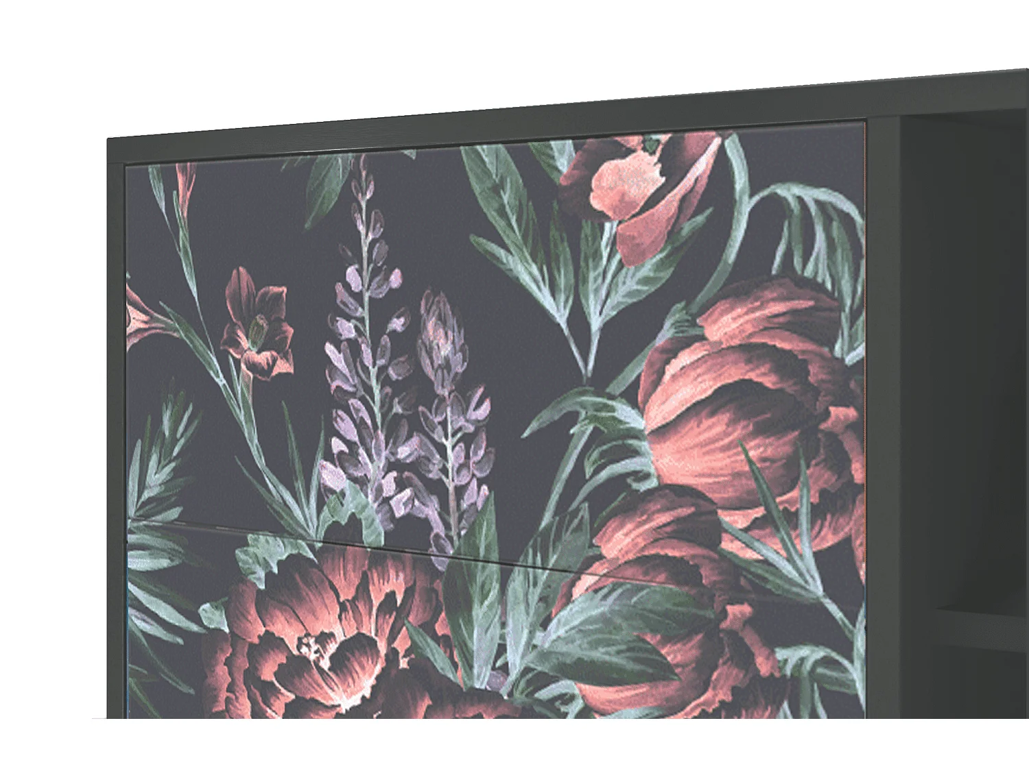 Kredens - 125x98x48 cm - BS2 - Dark Peonies, Antracyt