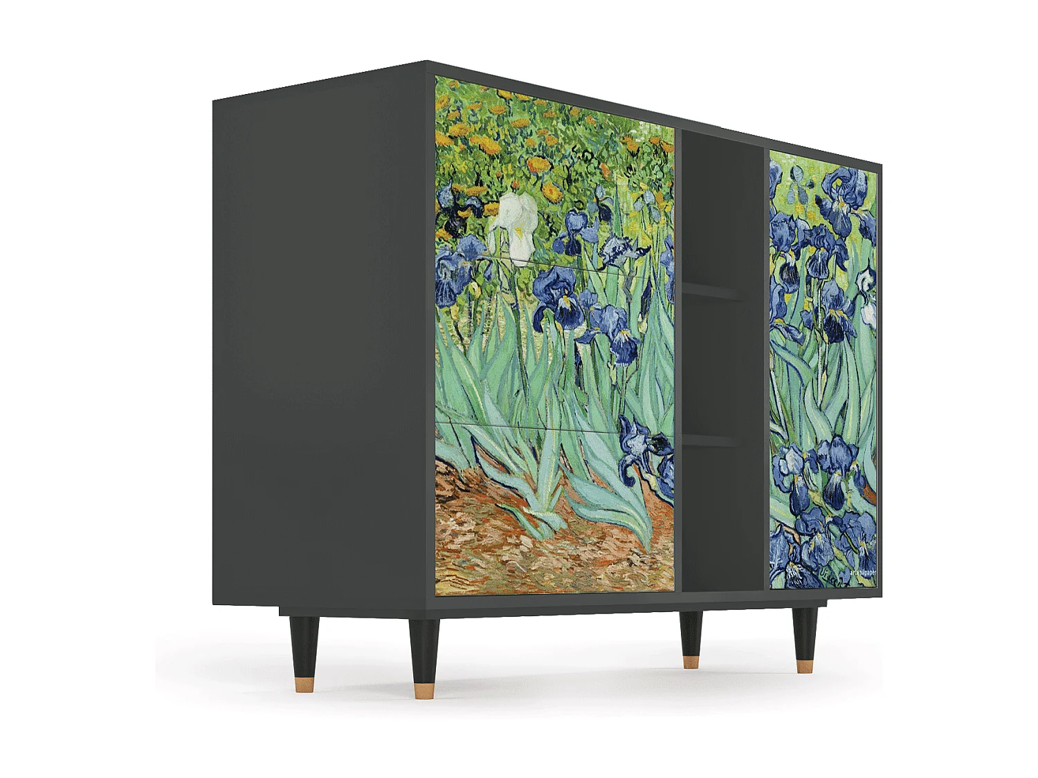 Kredens - 125x98x48 cm - BS2 - Irises , Antracyt